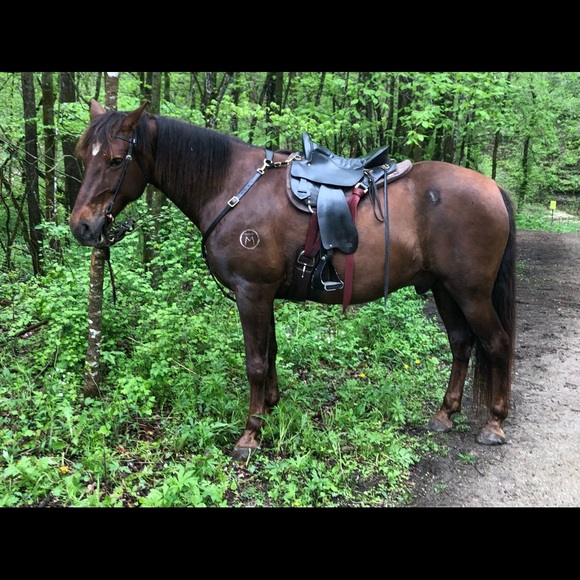 Meet your Posher, Candace - Picture 4 of 6